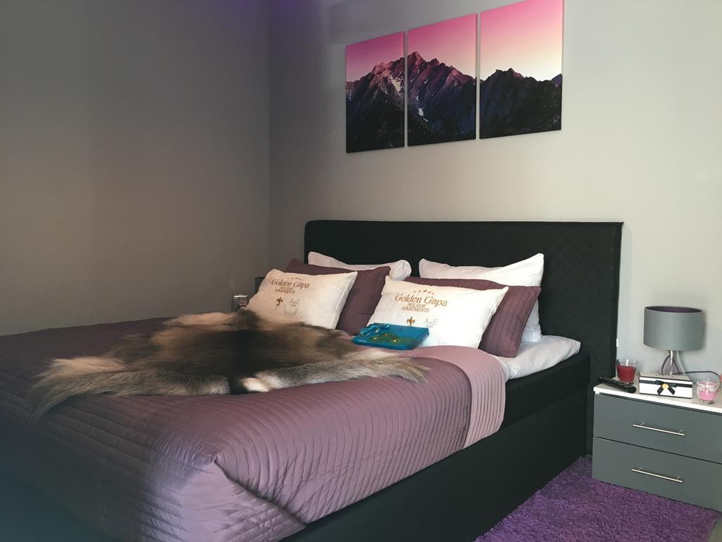Golden Gapa City Center Apartment 22 加爾米施-帕滕基興 外观 照片